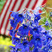 Red, White, and Blue by seattlite