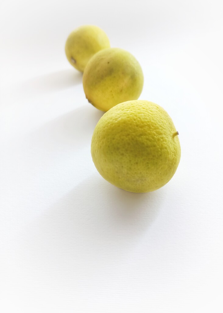 Limes in a line by salza