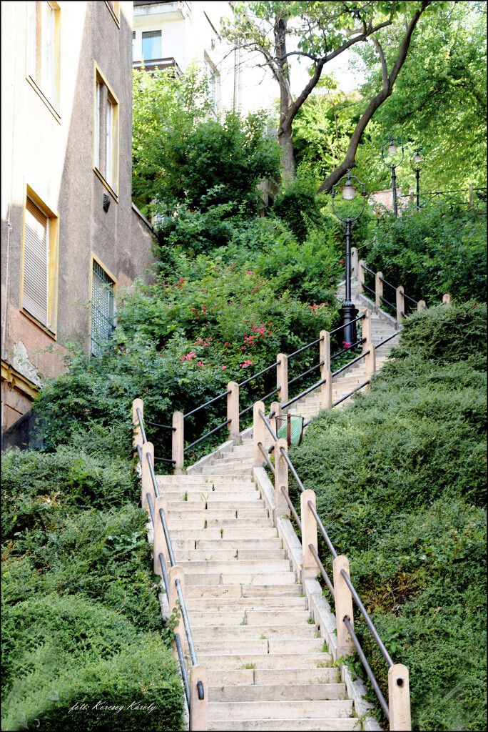 The stairs of Korlát utca by kork
