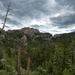 Black Hills with a Snag by theredcamera