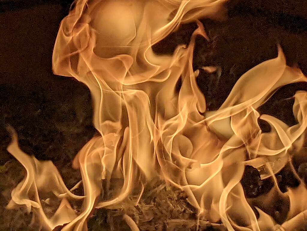 FIRE! by photogypsy