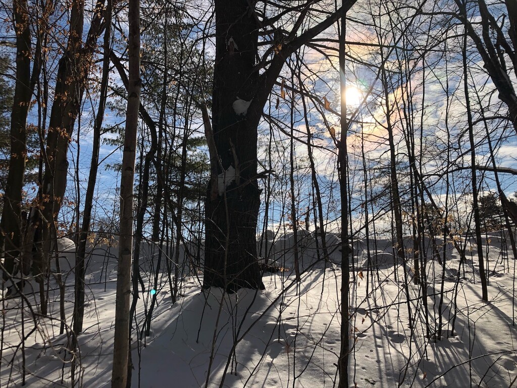 A Beautiful Winter Day by sunnygreenwood