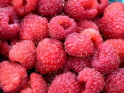 2nd Jul 2022 - Raspberries