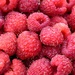 Raspberries by mdaskin