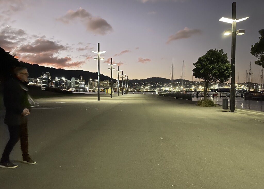 Wellington Waterfront by carolinesdreams