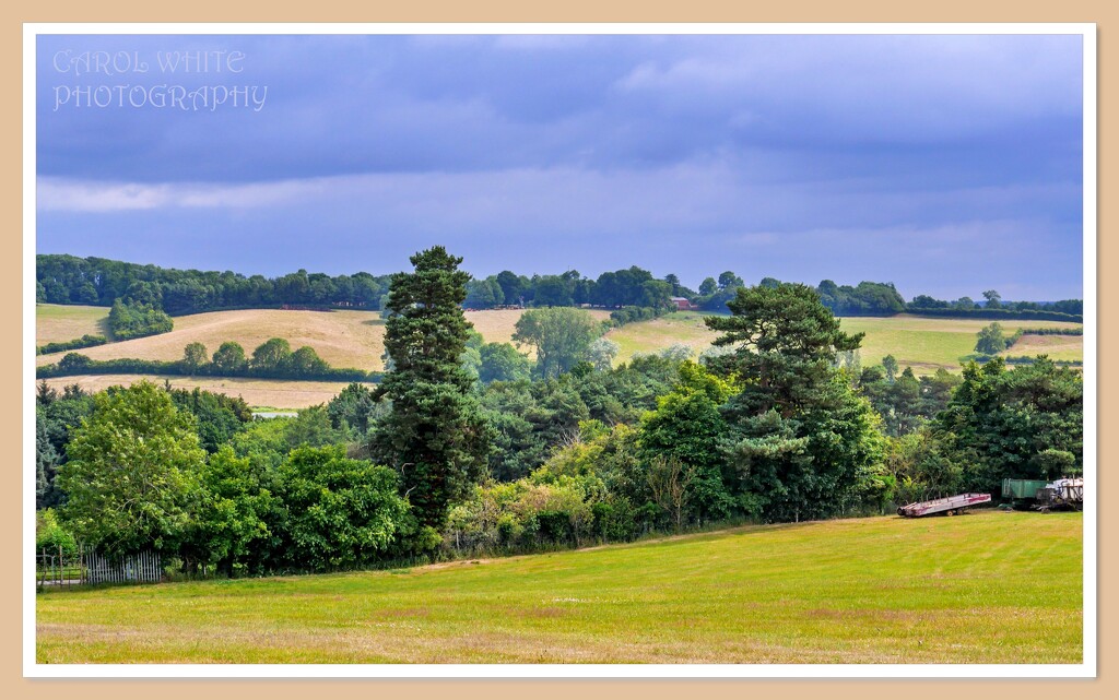 Northamptonshire Countryside by carolmw