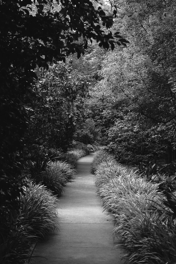 Garden Path by blueberry1222