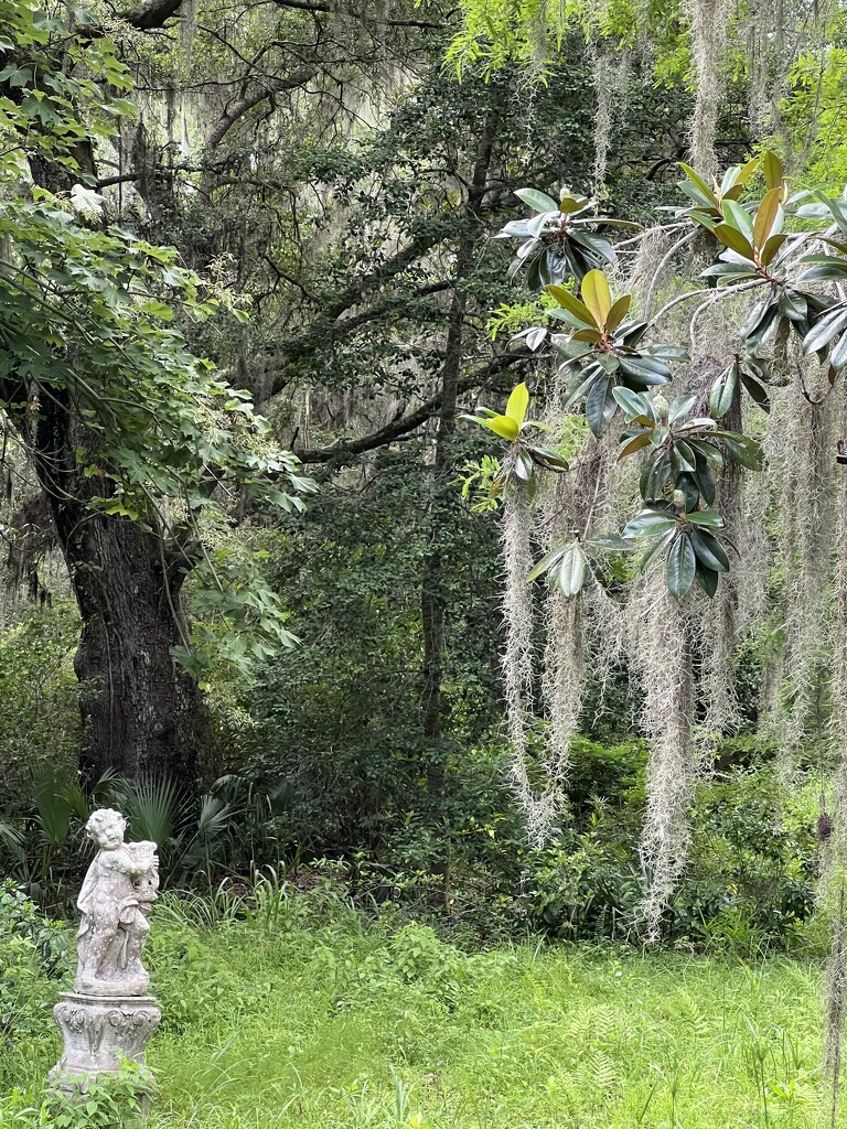Statue and Spanish moss at Magnolia Gardens by congaree