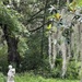 Statue and Spanish moss at Magnolia Gardens