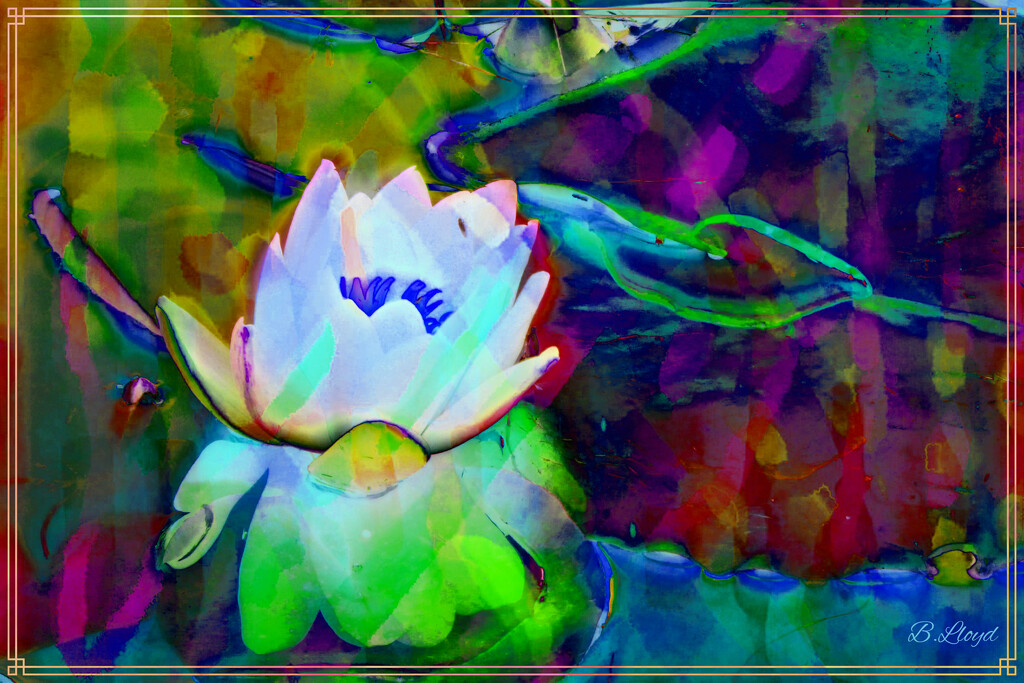 Water lily - abstract  by beryl