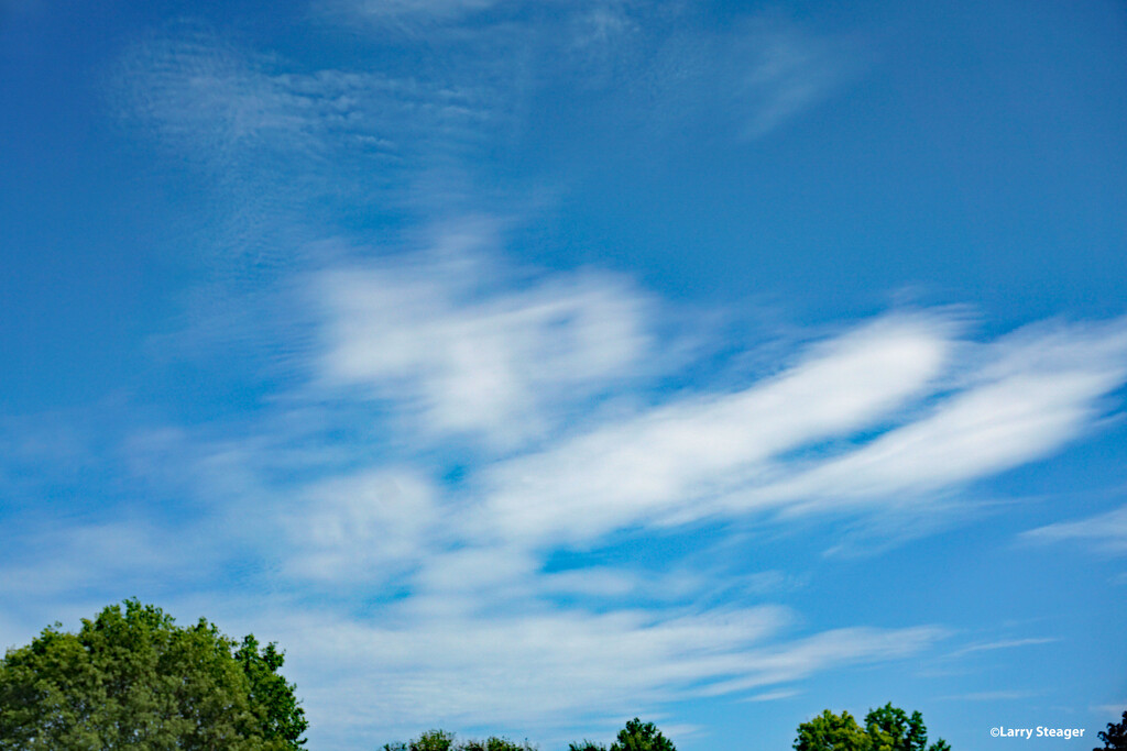 Clouds, Sky and trees by larrysphotos