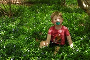 22nd Jun 2022 - Charlie in the Wild