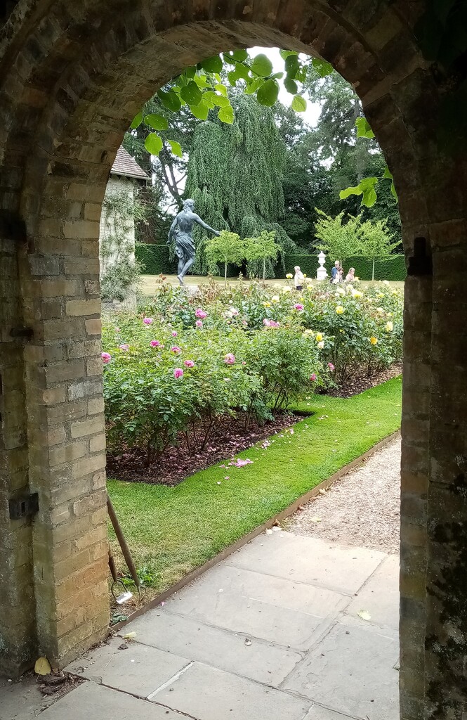 Anglesey Abbey Roses  by g3xbm