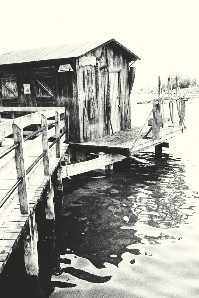 Old Fishing Shanty by juliedduncan