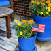 Porch Flowers | Blue