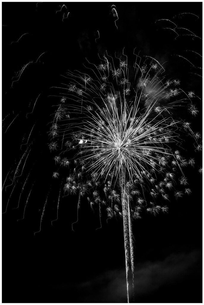 Dandelion. Or Fireworks by ramr
