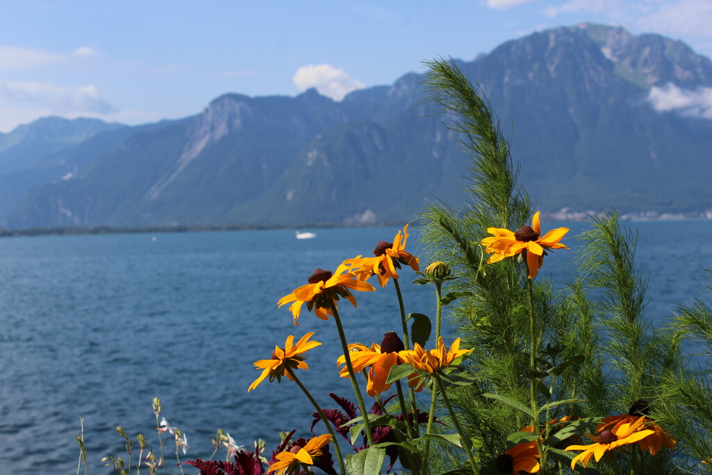 Montreux, lake Geneva by solarpower