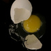 Another Wabi Sabi - Dropped Egg by joansmor