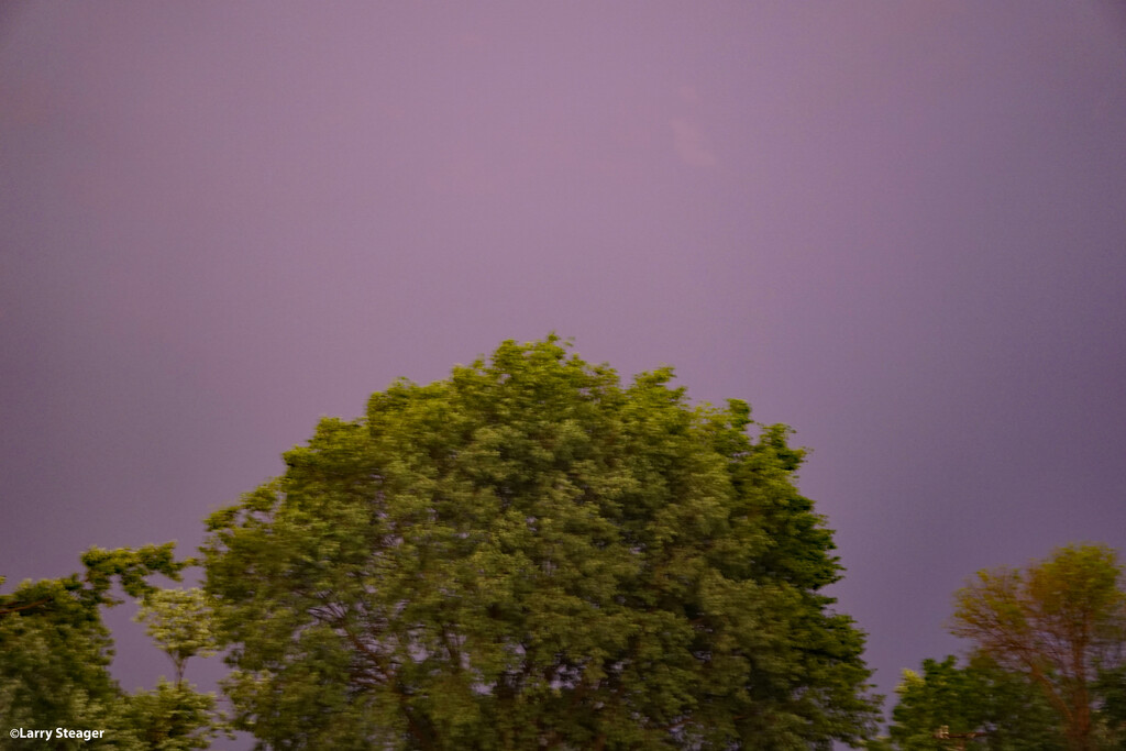Purple sky by larrysphotos
