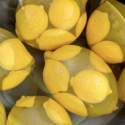 6th Jul 2022 - Start of my limoncello Xperiment