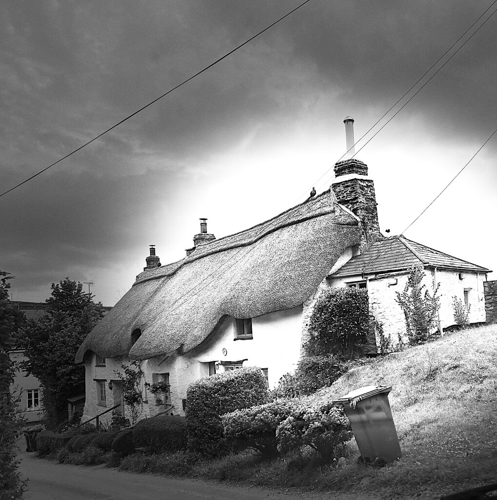Thatched Cottage, Kingsbridge by rensala