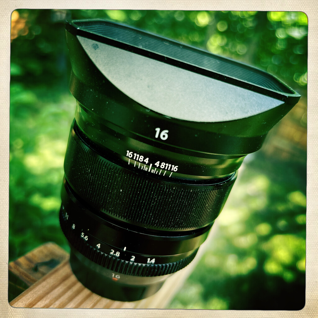 I love this lens! by amarand