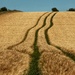 Tractor tracks……. by billdavidson