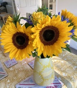 7th Jul 2022 - So many Sunflowers!