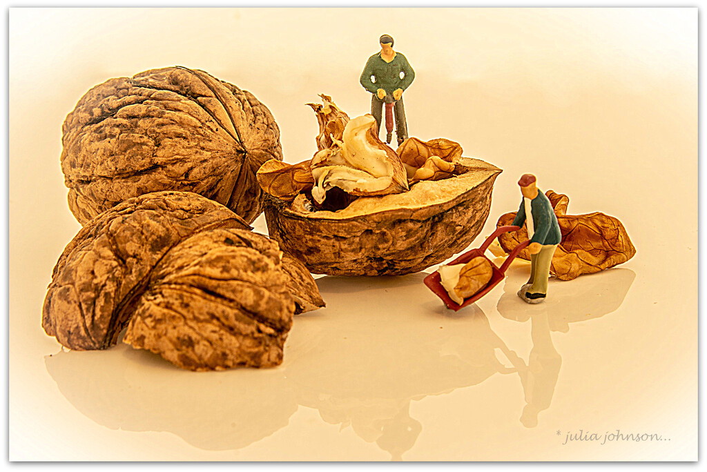 Breaking Nuts.. by julzmaioro