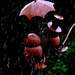 Raining.. by maggiemae
