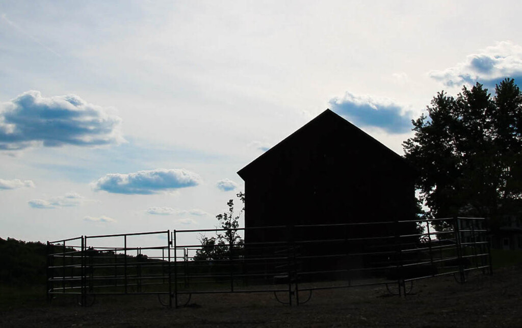 Barn silhouette by mittens