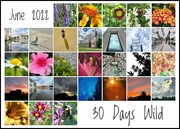 30th Jun 2022 - 30 Days Wild