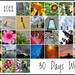 30 Days Wild by njmom3