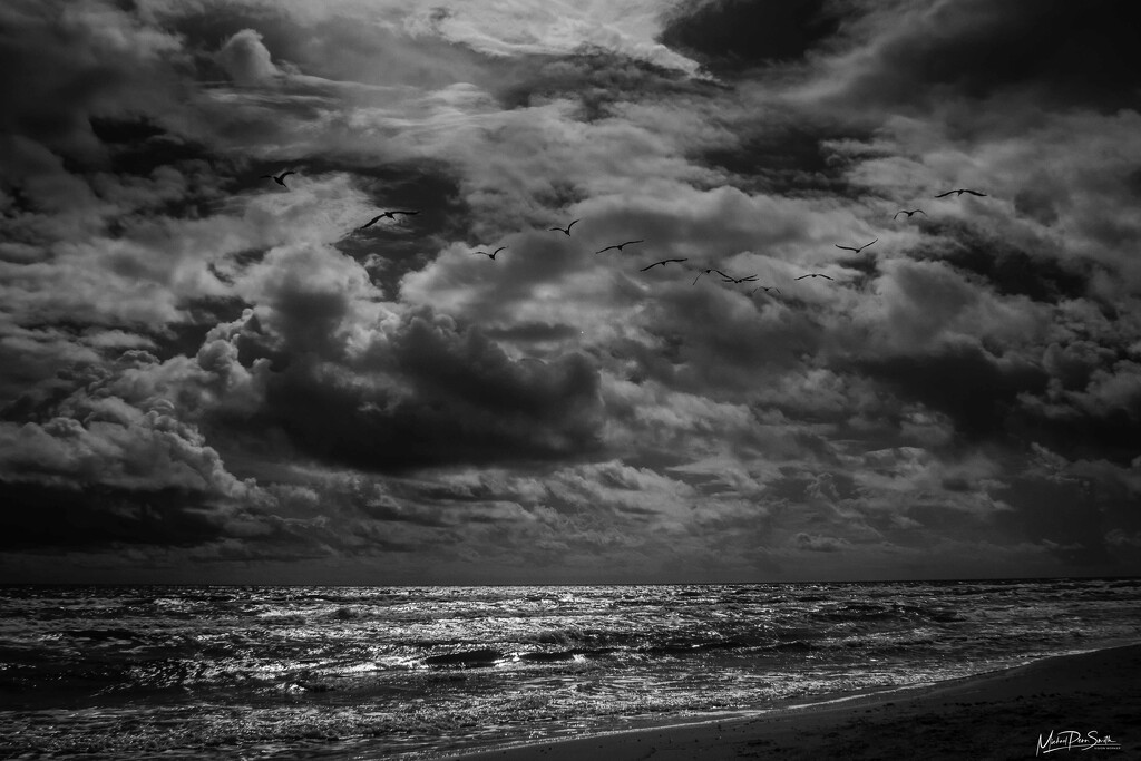 Stormy Gulf by visionworker