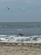 9th Jul 2022 - Surfer and Seagull