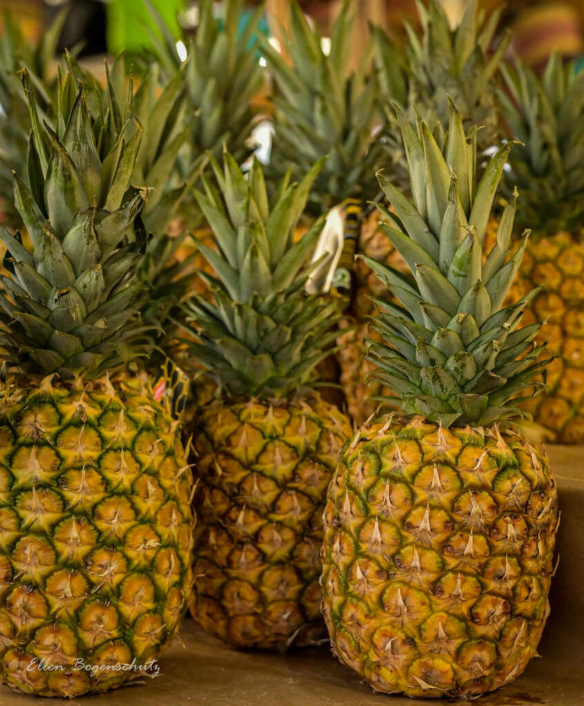 Pineapples at the market  by theredcamera
