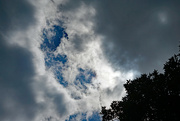 9th Jul 2022 - Clouds and trees 7 2022