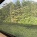 Train Ride by lisaconrad