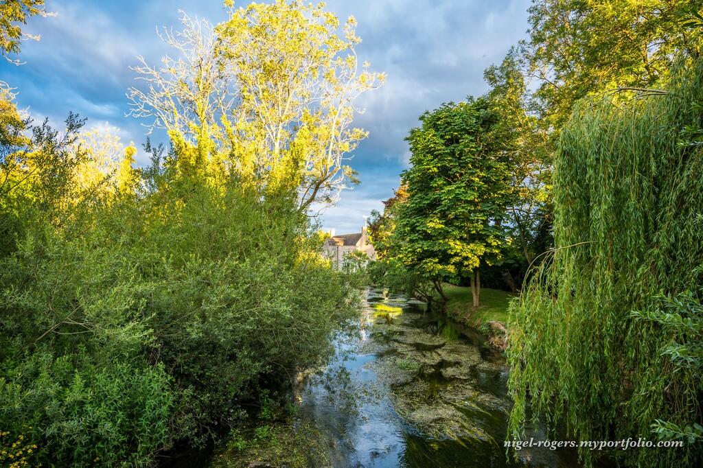 Evening light on the river Coln by nigelrogers