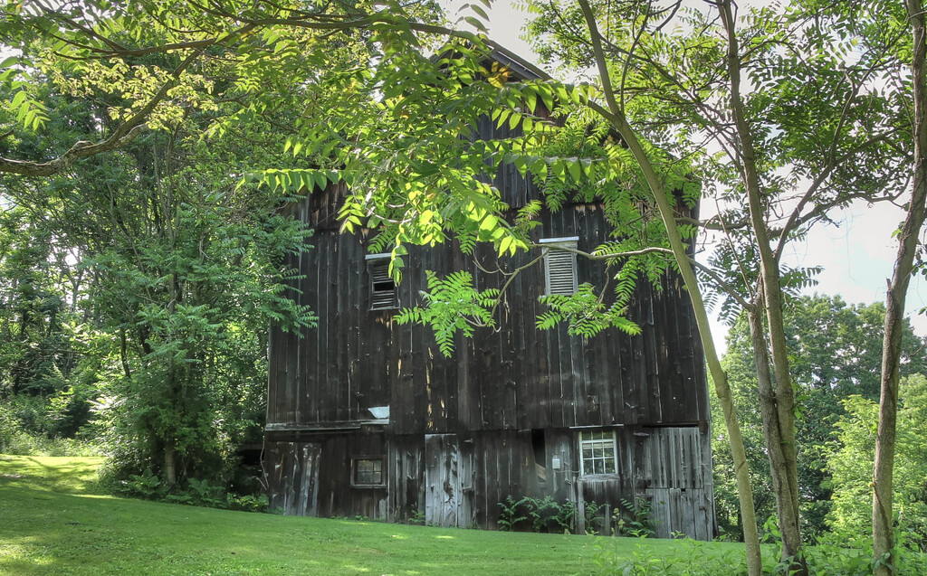 A barn by mittens