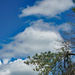 Cloud scape by larrysphotos
