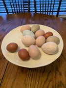 10th Jul 2022 - “Granny, I’m bringing you some eggs.”