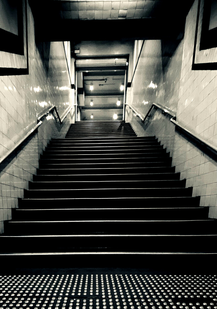 Museum Station Steps by mazoo