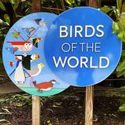 12th Jul 2022 - Charley Harper's Birds Of The World