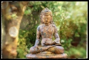 11th Jul 2022 - Buddha in the garden