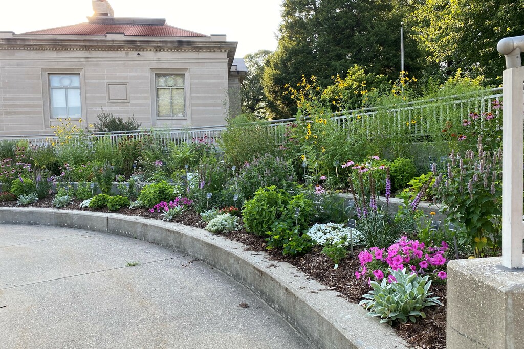 The Pollinator Garden at our public library by tunia