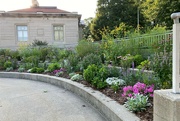 11th Jul 2022 - The Pollinator Garden at our public library
