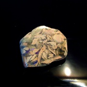 26th Jun 2022 - Partially opalized, fossilized leaves...