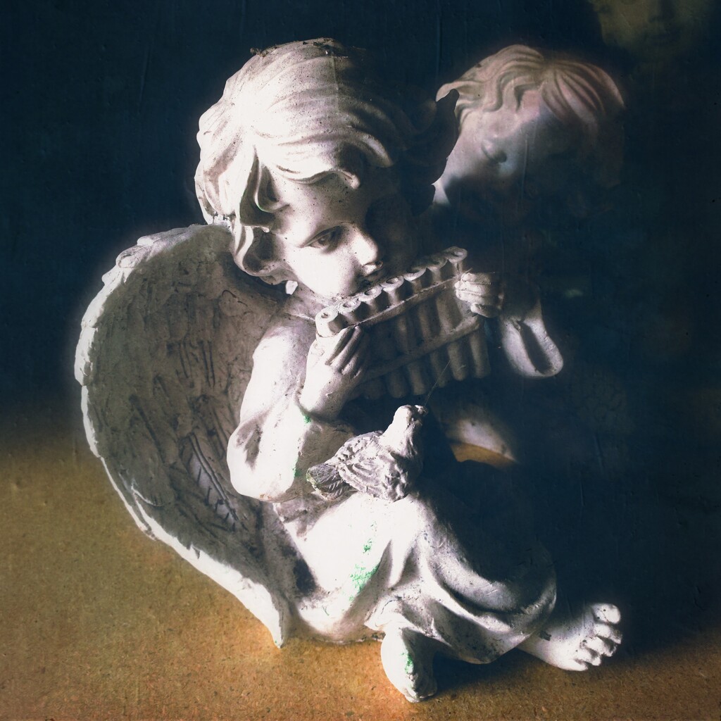 Angel by jeffjones