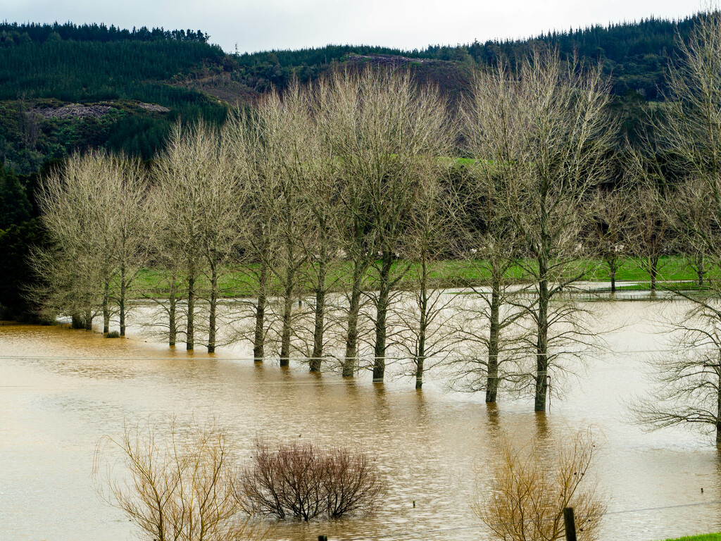 Flood waters by christinav